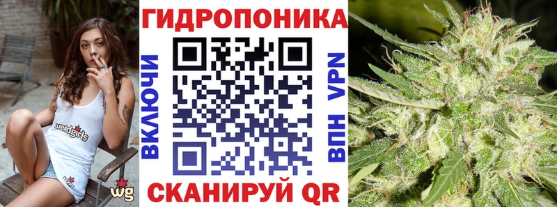 Виды наркоты Бердск Cocaine  Меф  ссылка на мегу онион  Кодеин  Бошки Шишки  ГАШИШ 