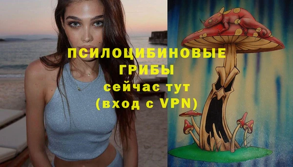 стаф Михайлов