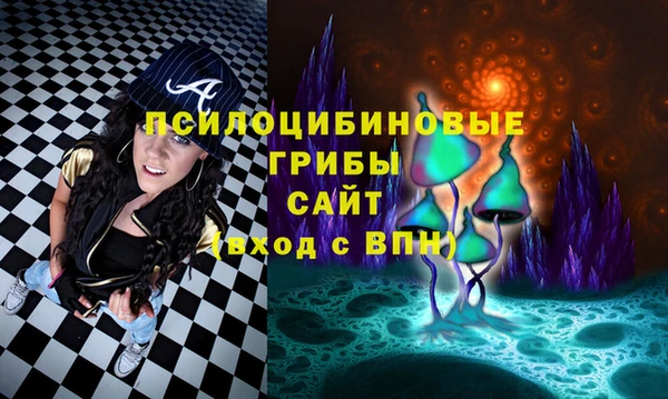 спайс Алзамай