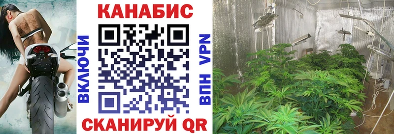 где купить наркотик  Бердск  Канабис семена 